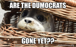 Impending Doom Seal
