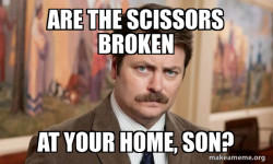 Ron Swanson : I am a Simple Man