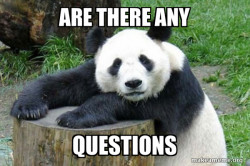 Confession Panda
