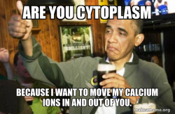Upvote Obama