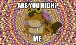 Hypnotoad