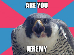 Millennial Falcon