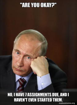 Contemplative Putin