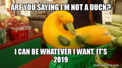 Gourd Advice Mallard