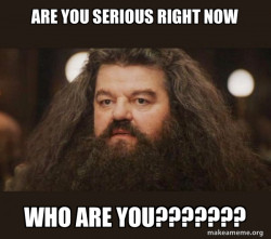 Hagrid - I should not have said that