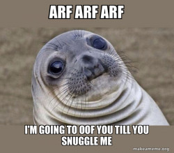 Squeamish Seal