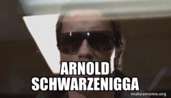 The Terminator