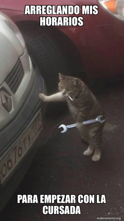 Mechanic Cat