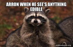 Evil Plotting Raccoon