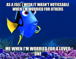 Dory from Nemo  (5 second memory)