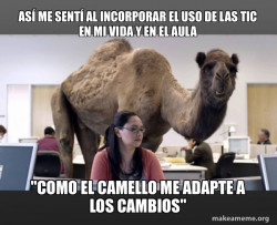  Camello jorobado