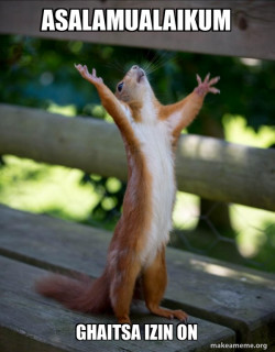Happy Squirrel