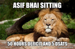 Contemplative Lion