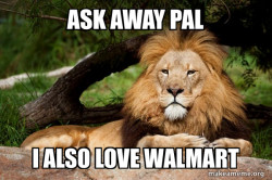 Contemplative Lion
