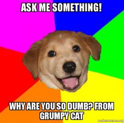 Grumpy Cat Question