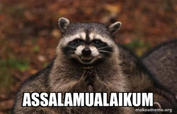 Evil Plotting Raccoon
