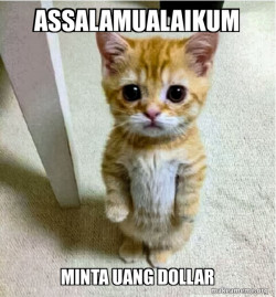 Cute Cat Standing