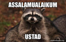 Evil Plotting Raccoon