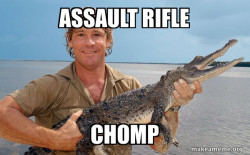 Steve irwin