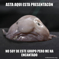Blobfish