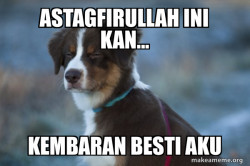 Unsure Dog