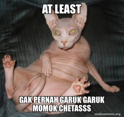Hairless Cat
