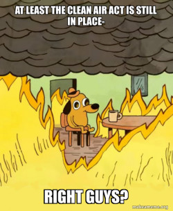 This Is Fine