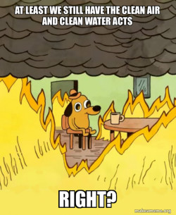 This Is Fine