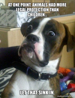 Skeptical Dog