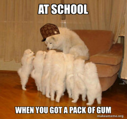 Scumbag Storytelling Dog