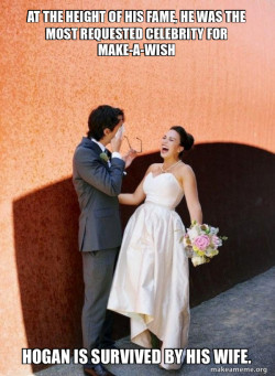 Condescending Wife