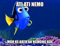 Dory from Nemo  (5 second memory)