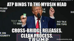 Trump Tic Tac