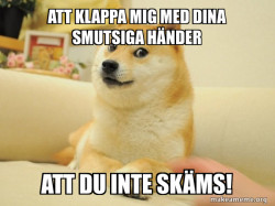 Doge