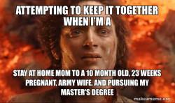 Frodo it's over it's done