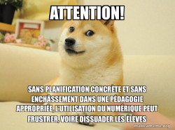 Doge