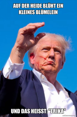 Trump Shot