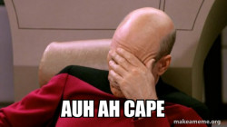 Picard Facepalm