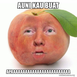 Impeached Donald Trump