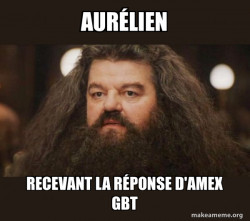Hagrid - I should not have said that