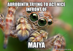 Hipster Spider