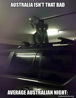 Drop Bear