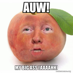 Impeached Donald Trump