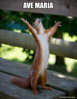Happy Squirrel