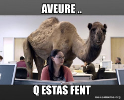 Hump Day Camel