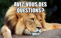 Confession Lion