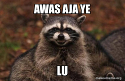 Evil Plotting Raccoon