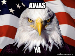 American Pride Eagle