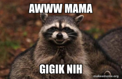 Evil Plotting Raccoon