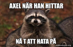 Evil Plotting Raccoon